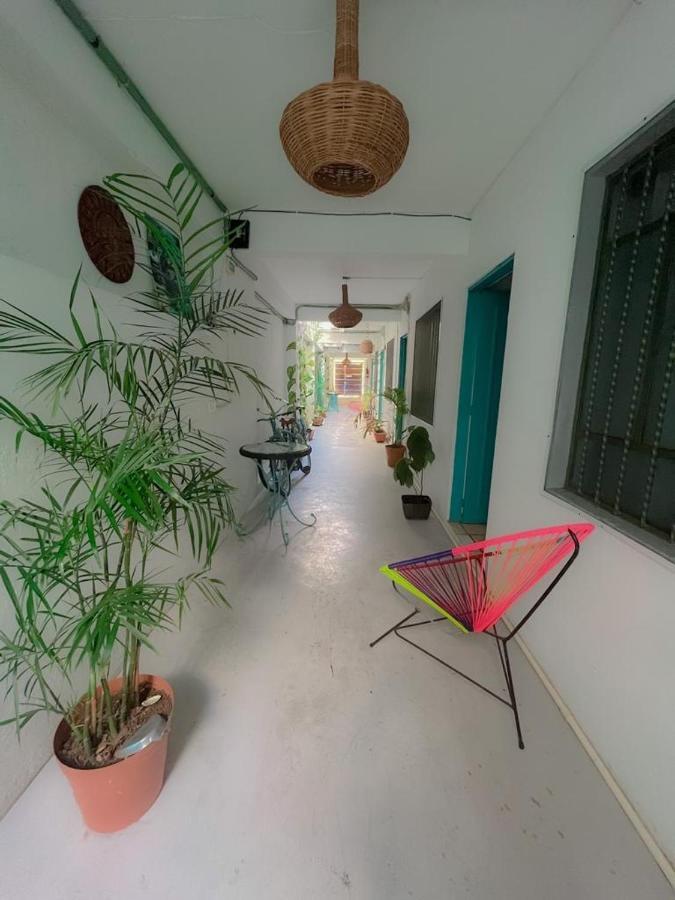 Casa Calido Hotel Cozumel Eksteriør bilde