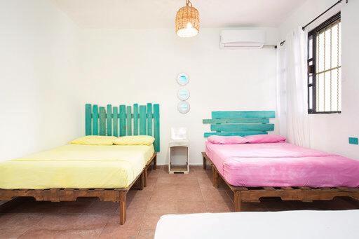 Casa Calido Hotel Cozumel Rom bilde