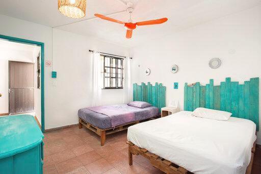 Casa Calido Hotel Cozumel Rom bilde